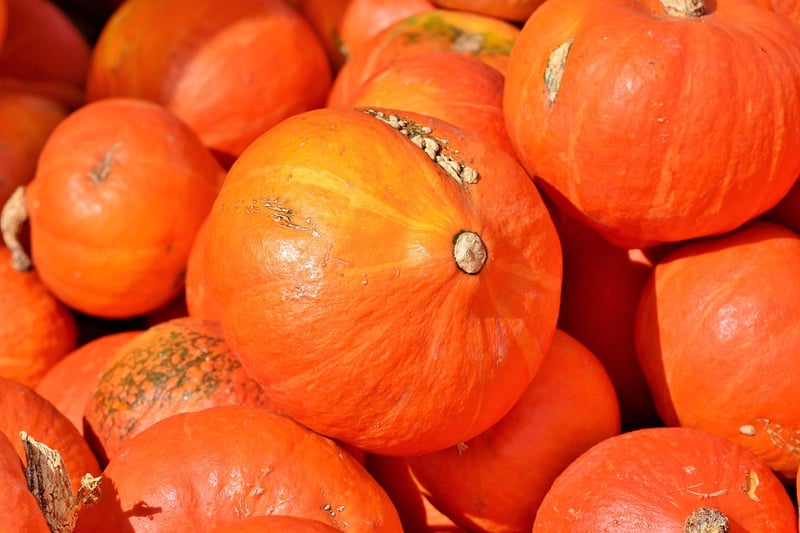 Pumpkins in Fall
